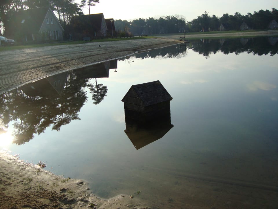 Entenhaus Ferienpark Landal Landgoed 't Loo