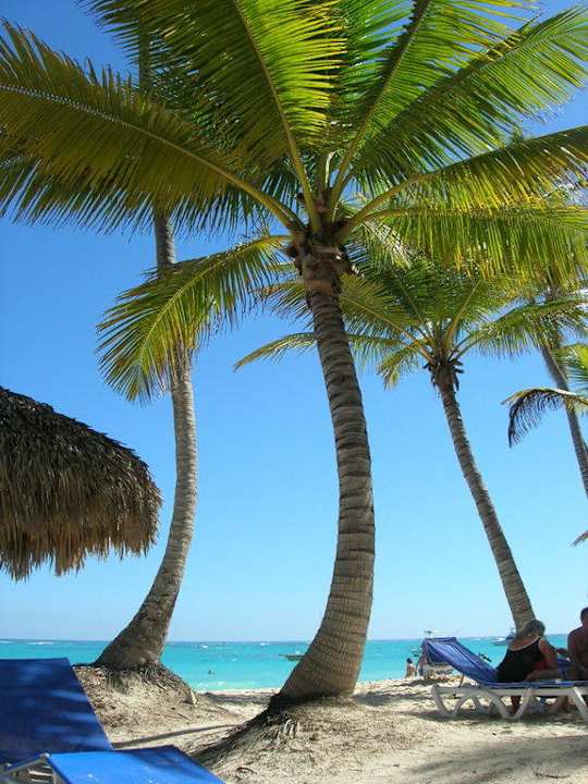 Hotel Grand Palladium Palace Resort, Spa & Casino Hotel Grand Palladium Palace Resort, Spa & Casino