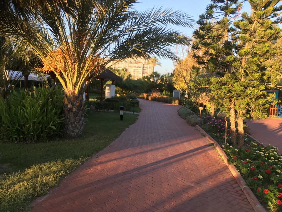 Garten Sunis Elita Beach Resort & Spa