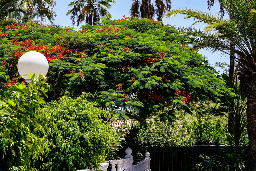 Gartenanlage HL Miraflor Suites Hotel