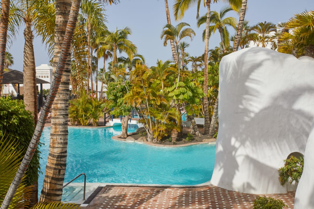 Pool Dreams Jardín Tropical