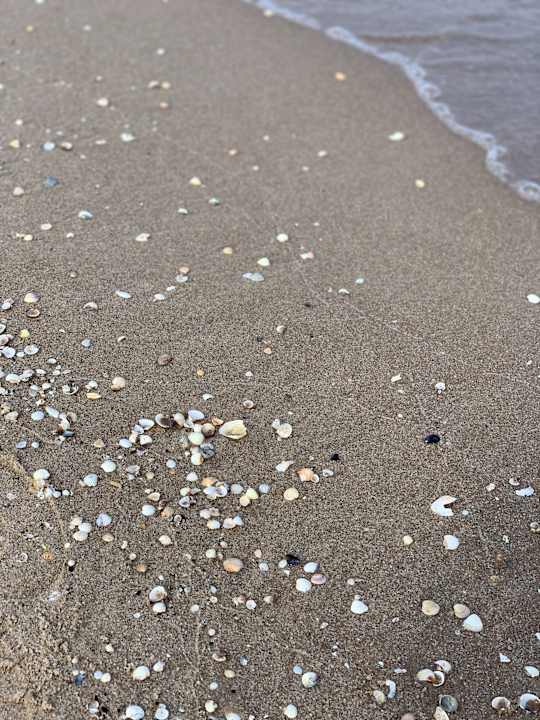 Strand Aparthotel Strandhus Familie Herrgott