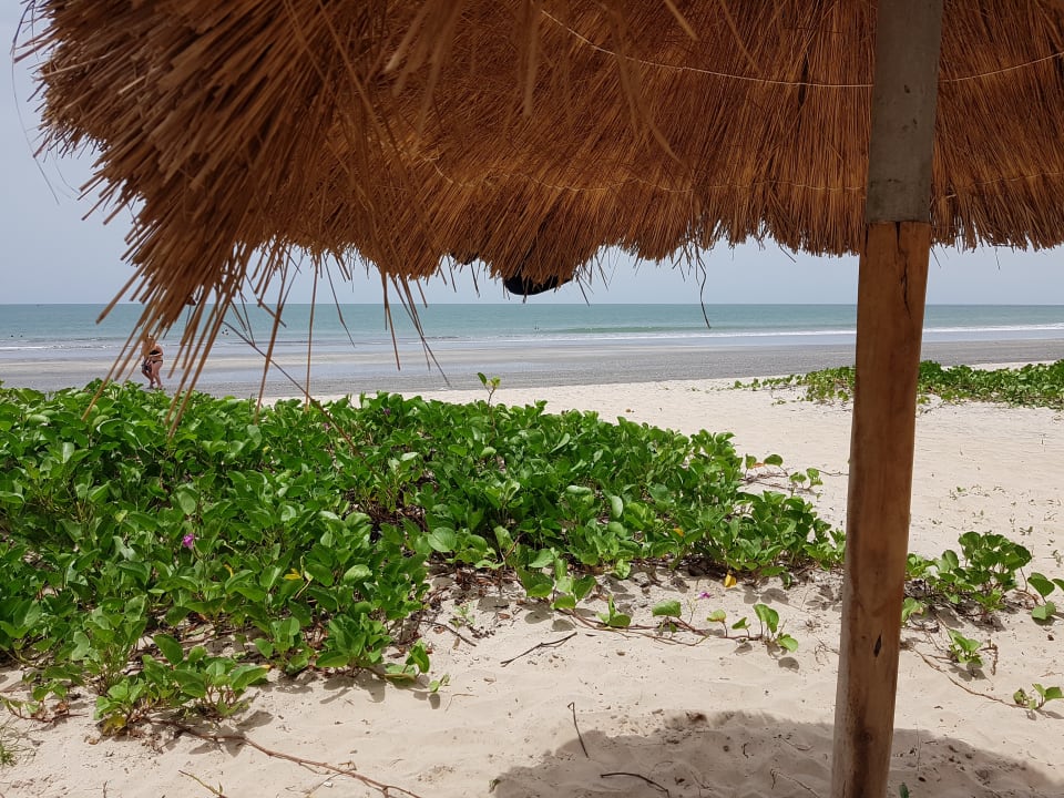 Strand TUI BLUE Tamala