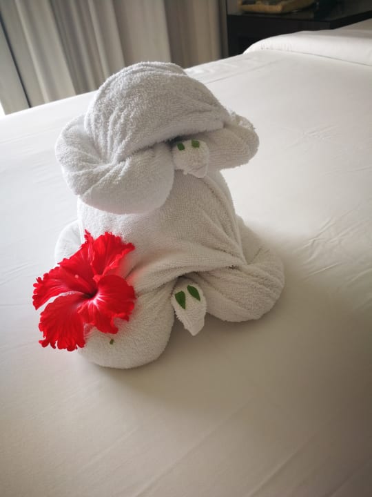 Zimmer Akumal Bay Beach & Wellness Resort