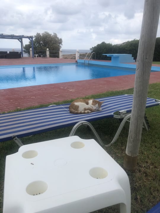 Pool Hotel Stella Beach