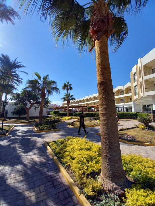 Außenansicht Regina Resort and Aqua Park Hurghada