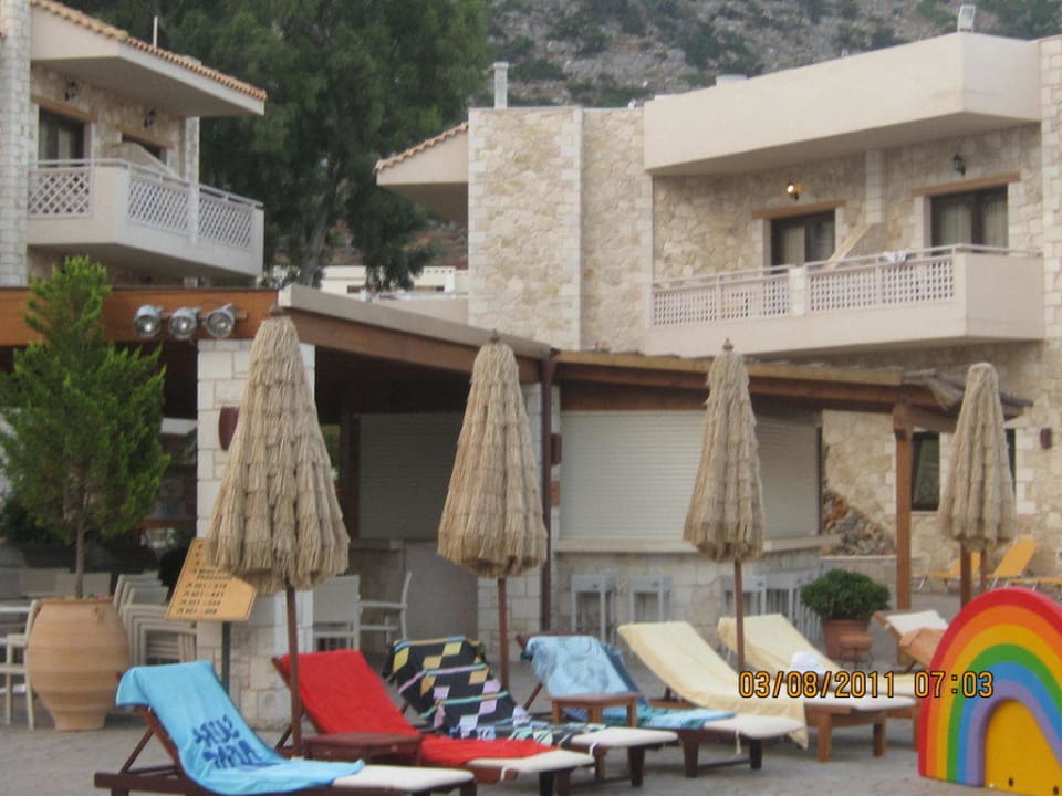 Leżaki Cactus Royal