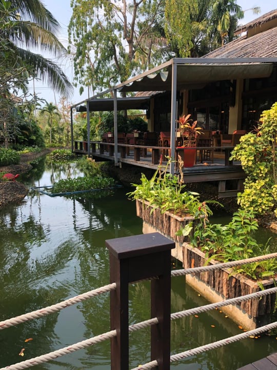 Gartenanlage Centara Koh Chang Tropicana Resort