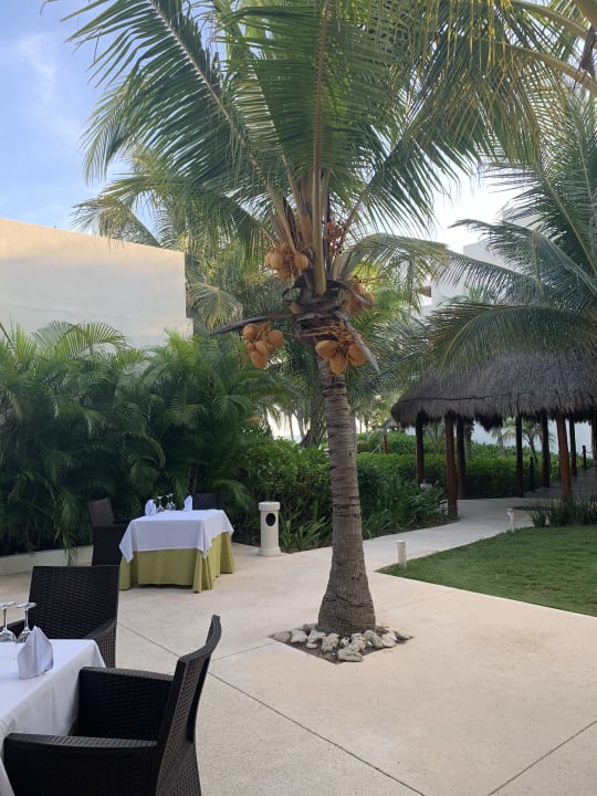 Gastro Akumal Bay Beach & Wellness Resort