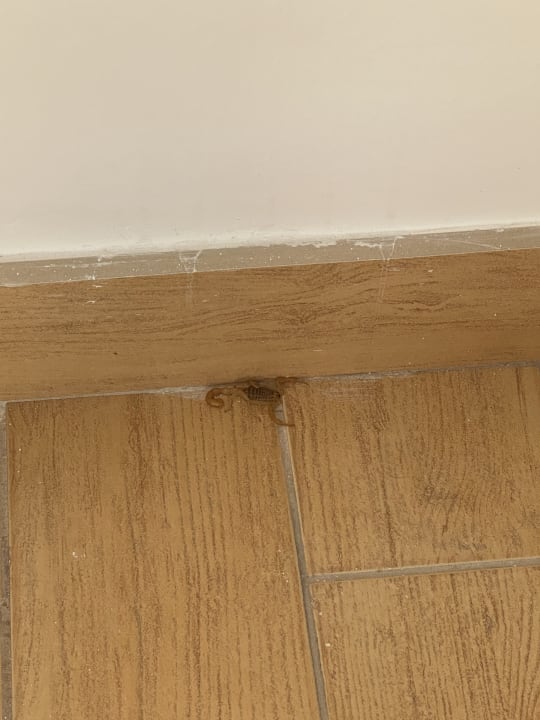 Zimmer Lagas Aegean Village