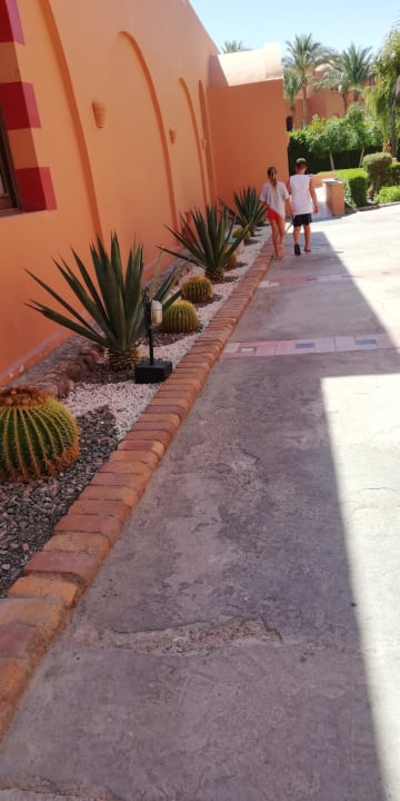 Strand Jaz Makadi Oasis Resort