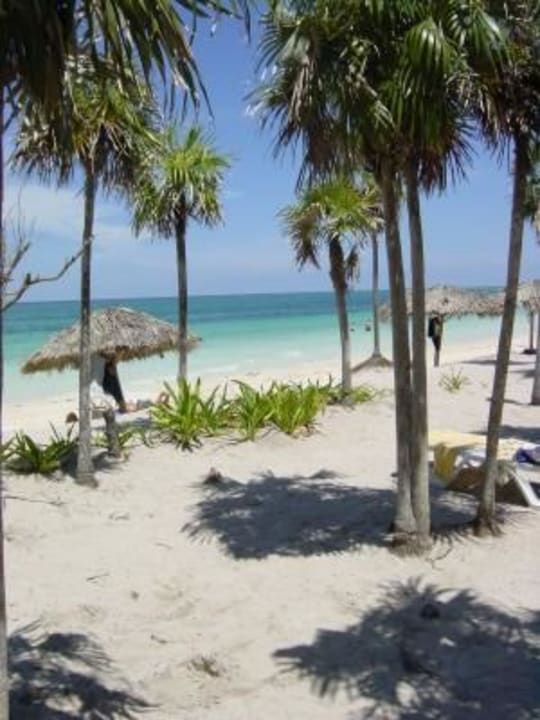 Strand vom Melia Caya Coco Hotel Melia Cayo Coco - Adults only