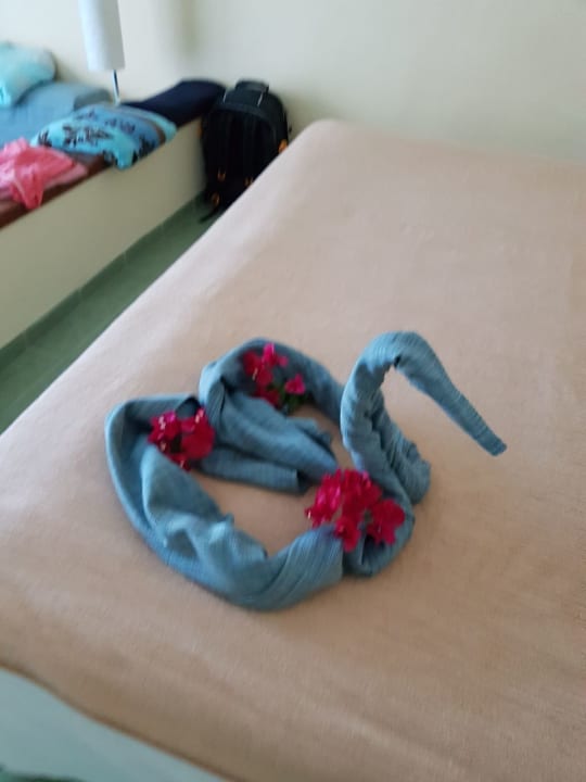 Jeden Tag eine neue Überraschung von unserem Zimmermädchen  Melia Las Antillas - Adults only