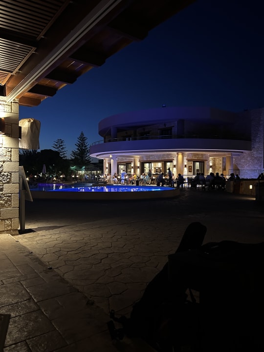 Gartenanlage Cactus Royal