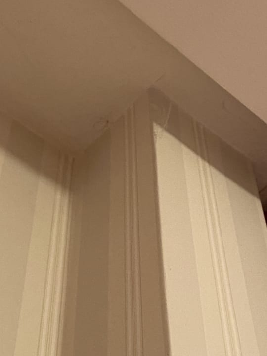 Zimmer Hotel Zum Schiff