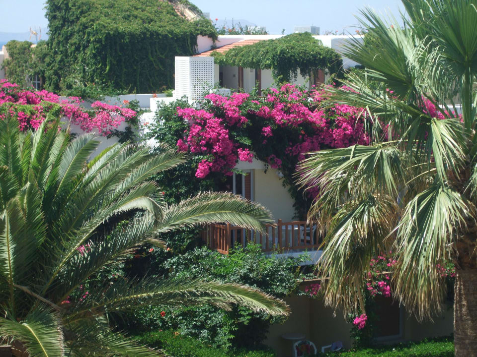 Hotel Anissa Beach Anissa Beach & Village