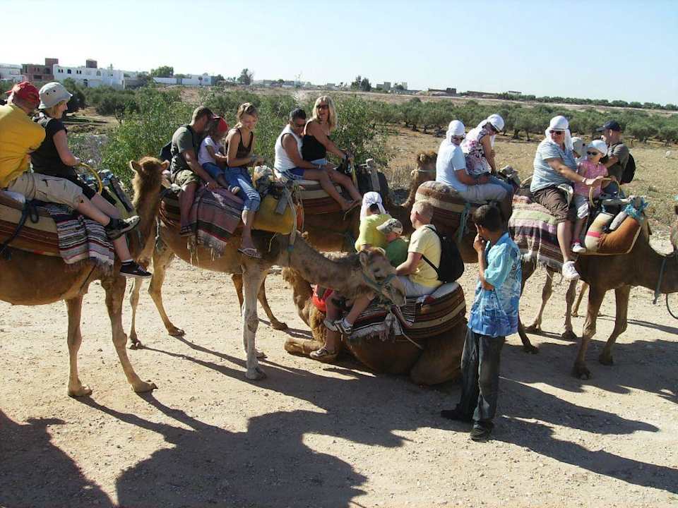 Rozrywka Ruspina Beach Resort