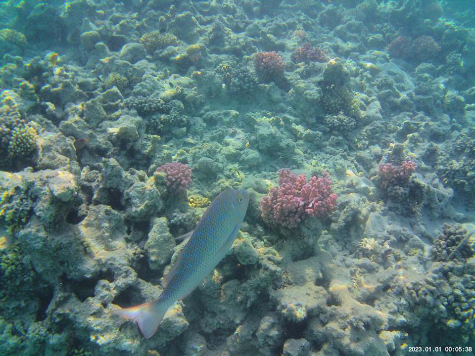 Strand Grand Waterworld Makadi & Family Star Makadi