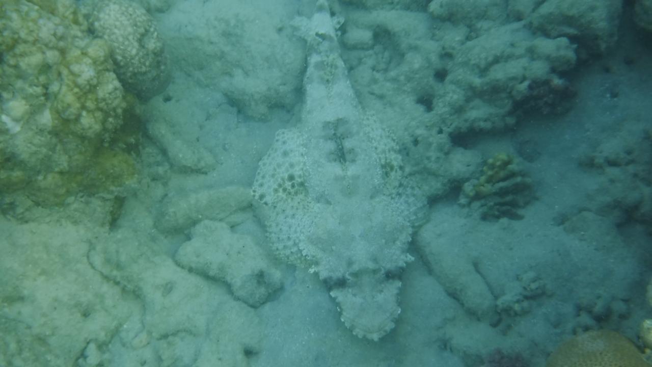 Sport & Freizeit Makadi Spa - Adults only