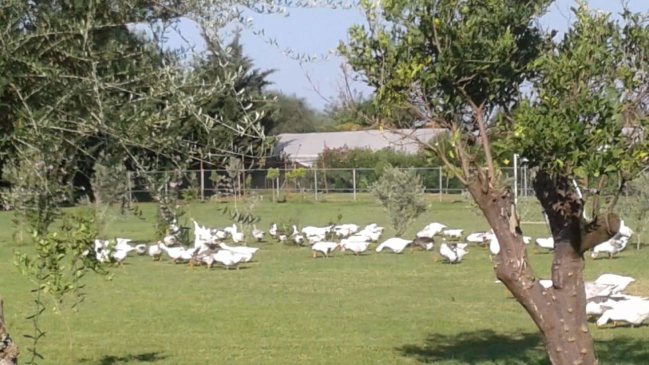 Gartenanlage Vita Silva Hotel