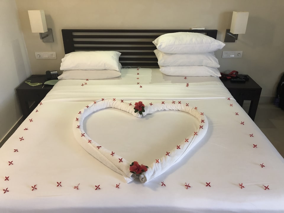 Zimmer Club Hotel Dolphin
