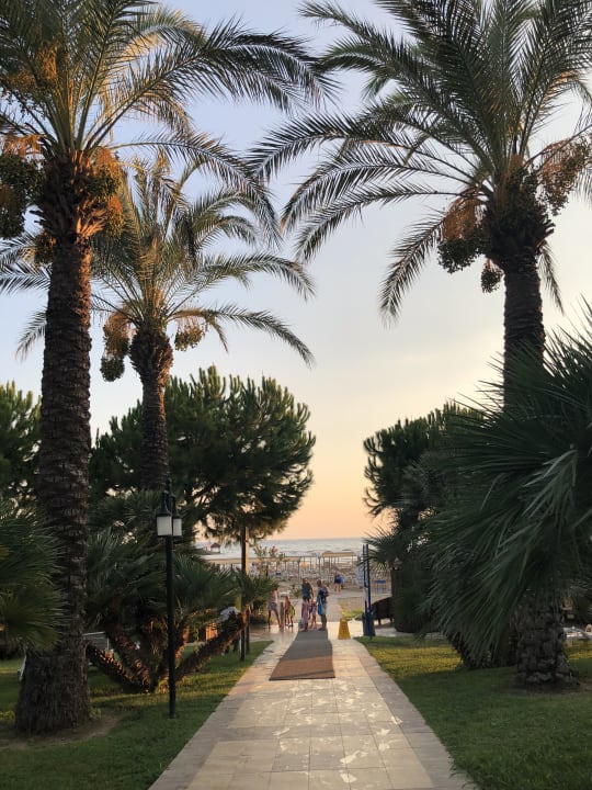 Gartenanlage Sunis Kumköy Beach Resort Hotel & Spa