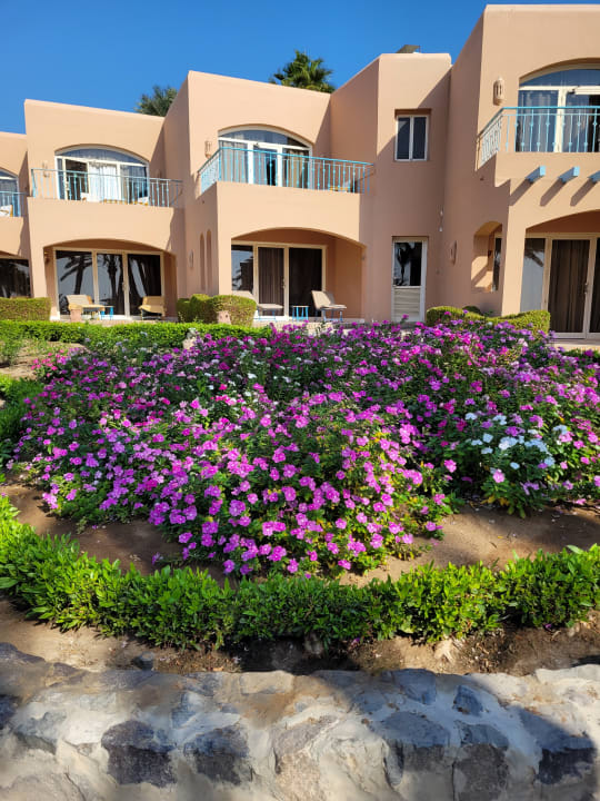 Gartenanlage Club Paradisio El Gouna, Red Sea