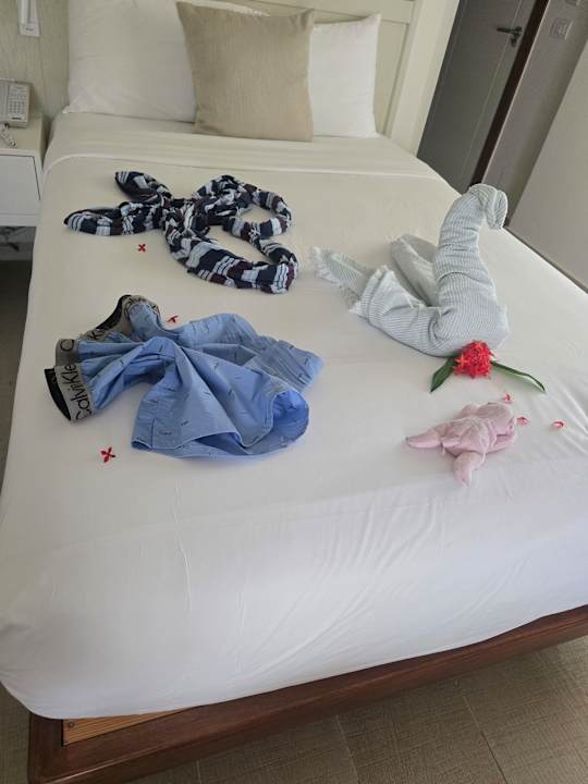Zimmer Iberostar Selection Coral Bávaro