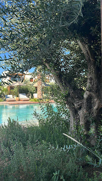 Gartenanlage Theros All Suite Hotel - Adults Only