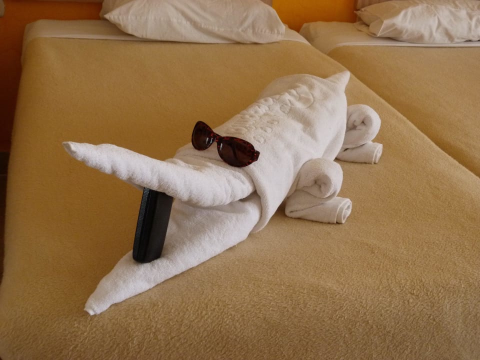 Sehr kreativ Hotel Gorgonia Beach Resort