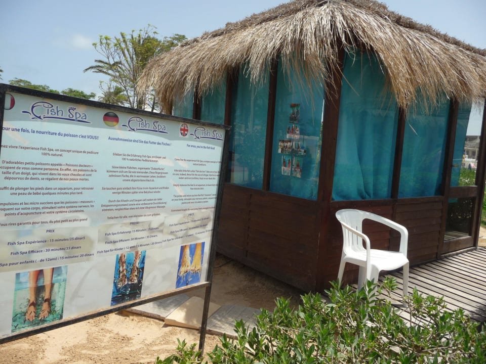 Hier können Fische an deinen Füßen knabbern Djerba Sun Beach Hotel & Spa