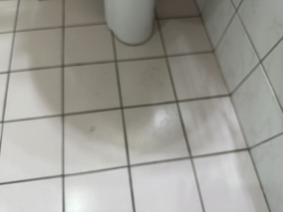 Zimmer Grand Bahama Beach Hotel