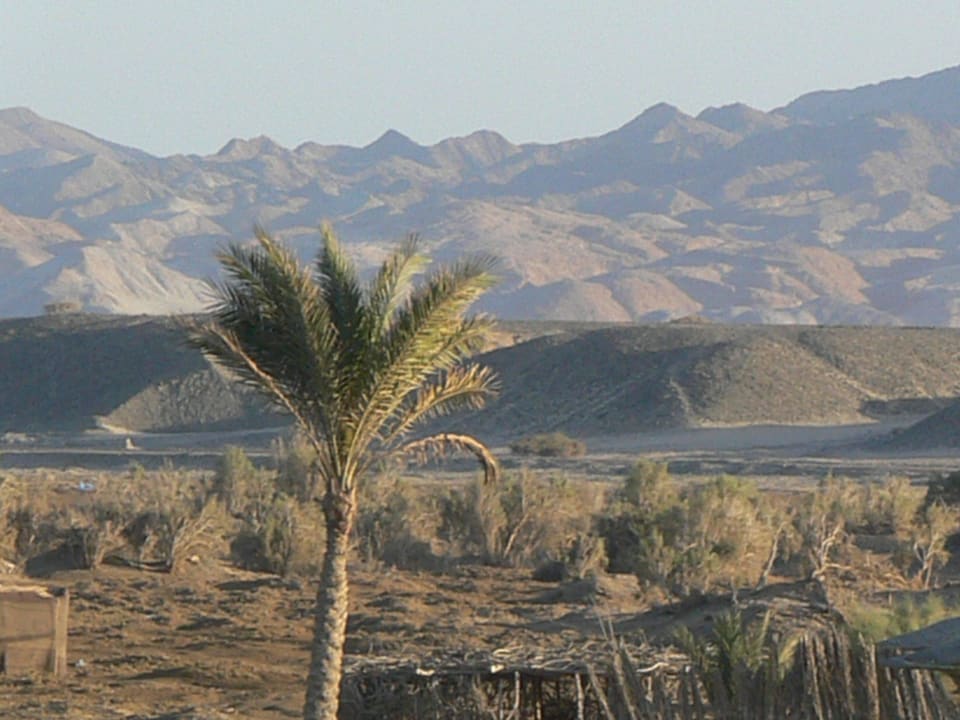 Blick vom Balkon nach Wadi Gimal  National Par Shams Alam Beach Resort