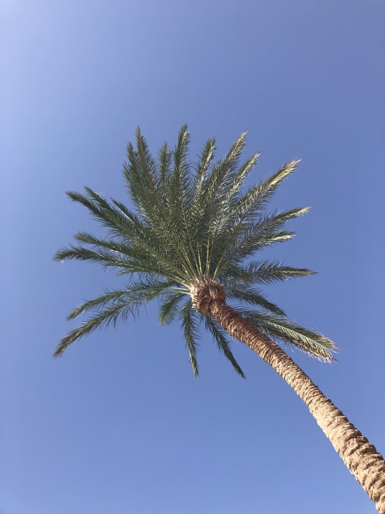 Ausblick Jaz Makadi Oasis Resort