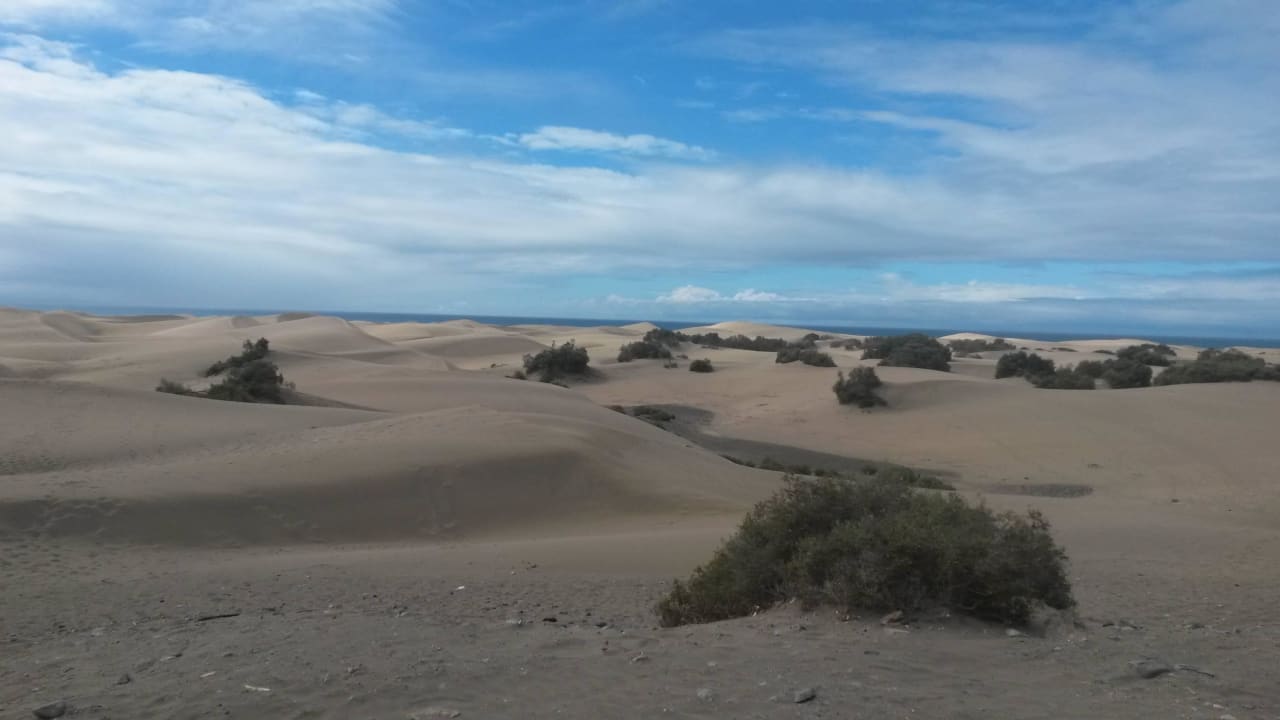 Blick in die Dünen Hotel Riu Palace Maspalomas Adults Only