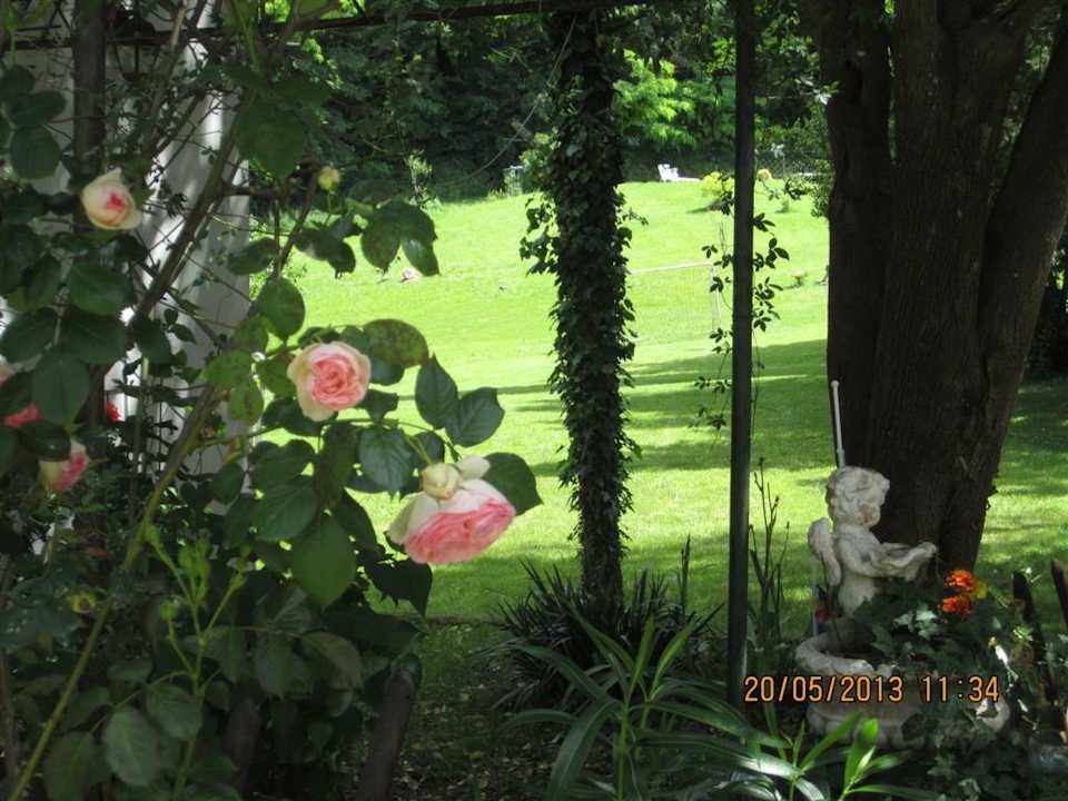 Garden corner Villa Arianna B&B