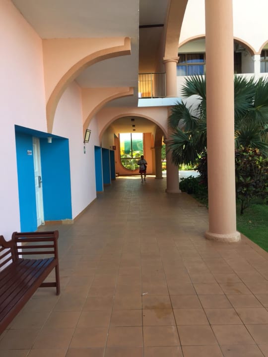 Zimmer Starfish Cuatro Palmas