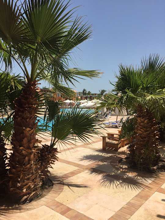 Gartenanlage Sheraton Miramar Resort El Gouna