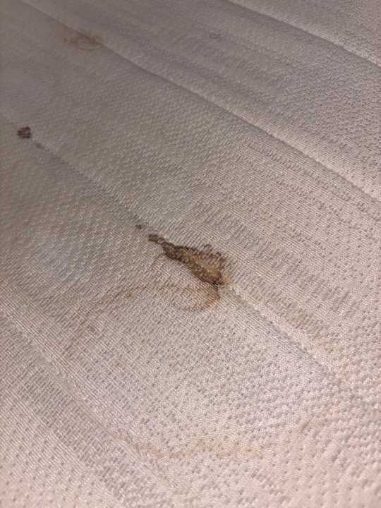 Zimmer Alannia Els Prats