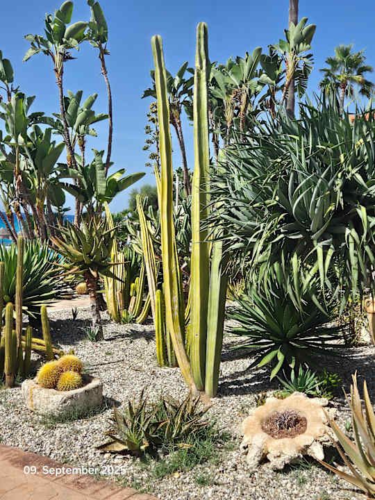 Außenansicht Hotel Villaggio Il Gabbiano