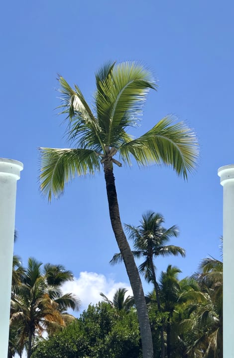 Pool Grand Palladium Select Bávaro Resort & Spa