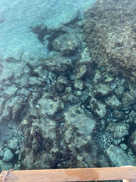 Strand Sandos El Greco Beach Hotel 16+