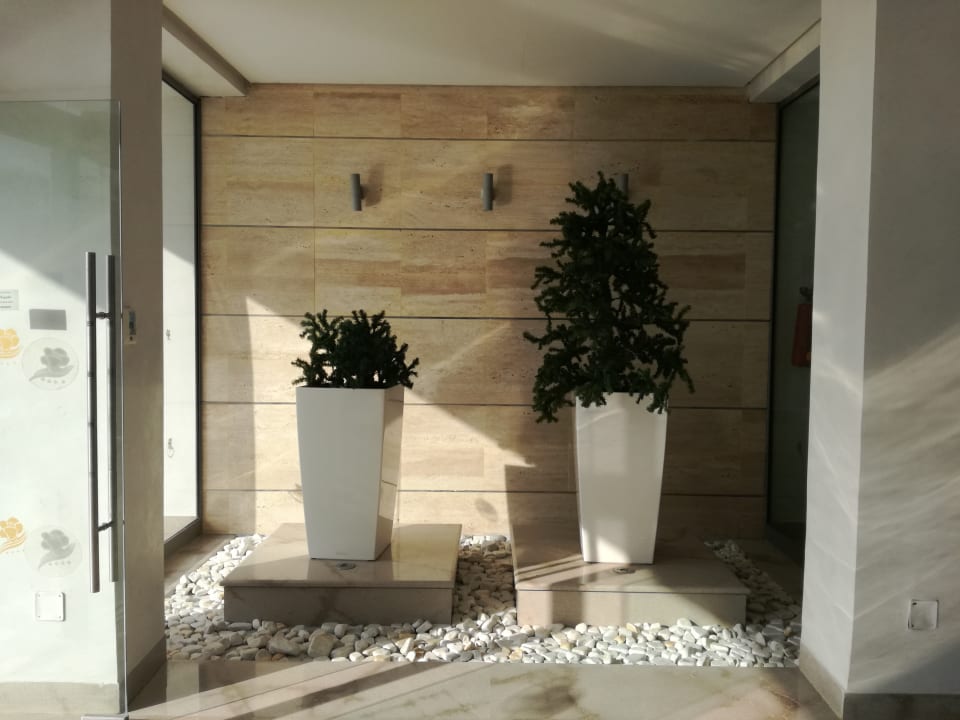 Lobby Hotel Rosa Beach