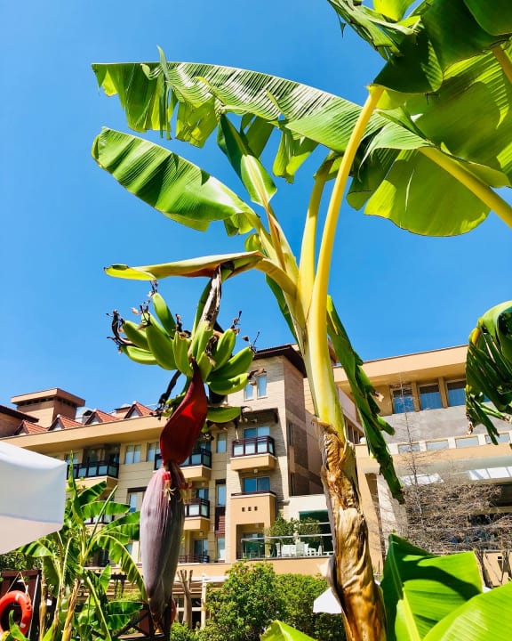 Außenansicht TUI BLUE Xanthe