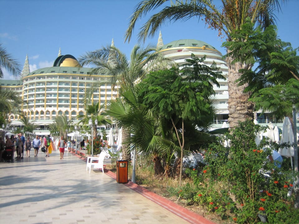 Garten-Pool Hotel Delphin Imperial