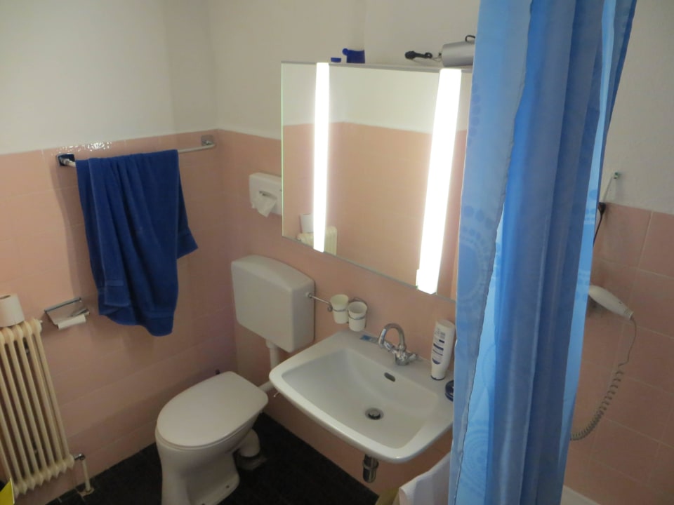 Toilette und Waschbecken Hotel Alpenrose