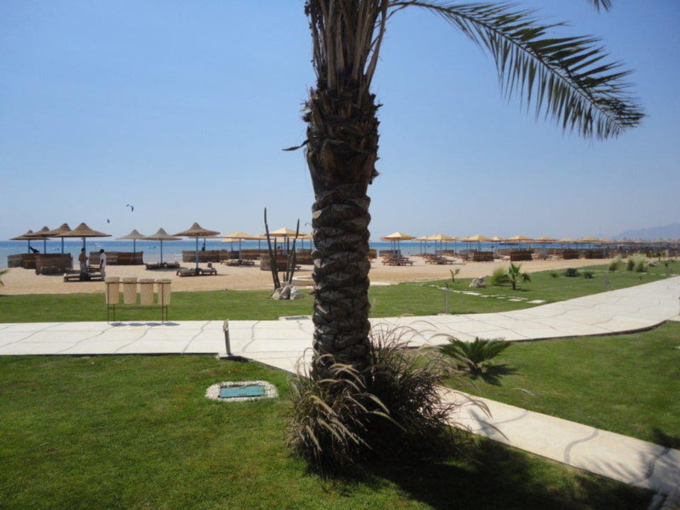 Ogród Shams Prestige Abu Soma-Adults Only