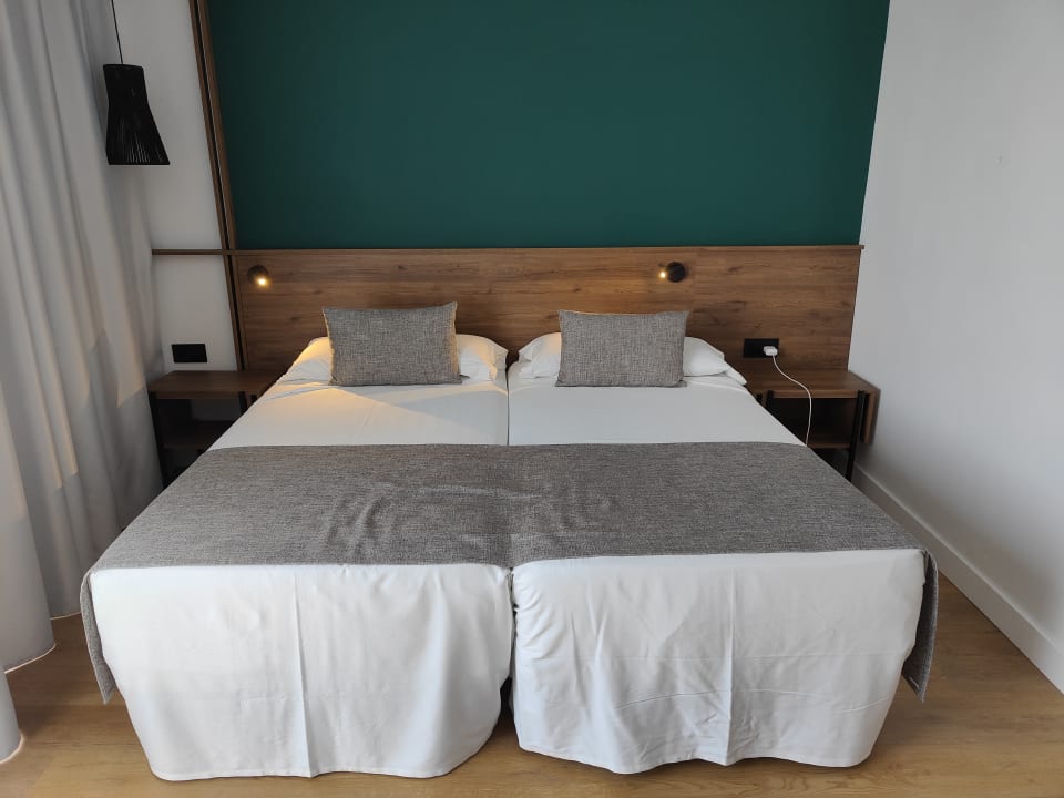 Zimmer FERGUS Puerto de la Cruz