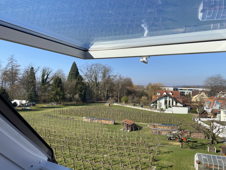 Ausblick Hotel Traube am See