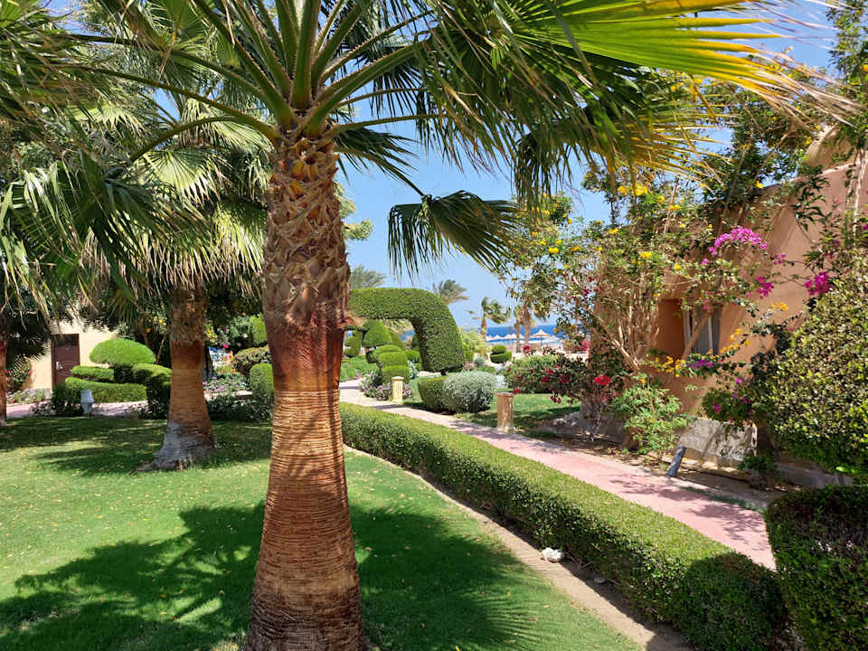 Gartenanlage Wadi Lahmy Azur Resort